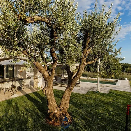 Mila Visignano By Awaytocroatia 别墅 Višnjan